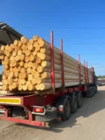 brevnoo бревно лиственница