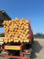 Бревно с пазом