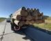 Бревно с пазом